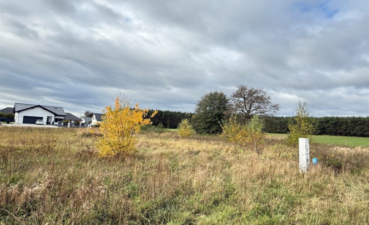 działka na sprzedaż - Rydzyna (gw), Nowa Wieś